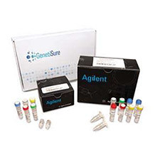 Product 10